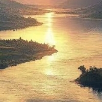 楠鹏