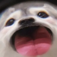 于波